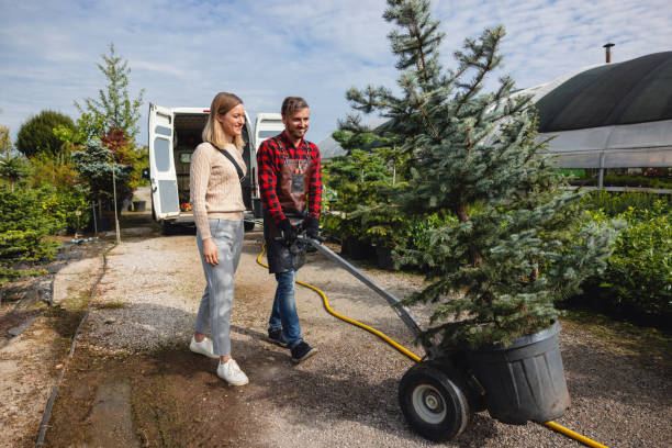 Best Emergency Storm Tree Removal  in Madelia, MN